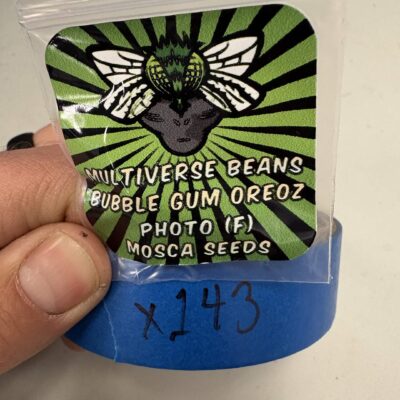 1x Bubble Gum Oreoz | Photo Fem | Mosca Seeds | Breeder Bonus