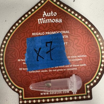1x Mimosa | Auto Fem | 00 Seeds Bank | Breeder Bonus