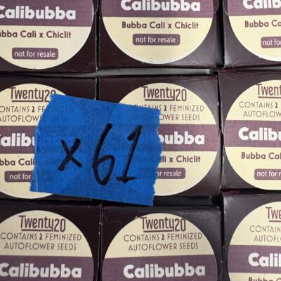2x Calibubba | Auto Fem | Twenty20 | Breeder Bonus