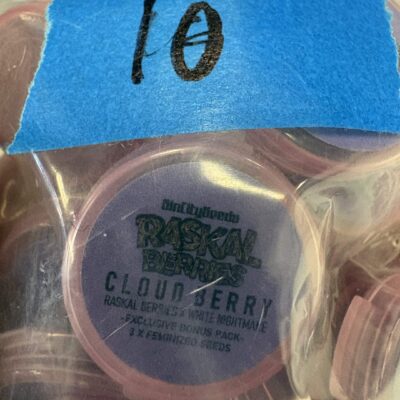3x Rascal Berries | Photo Fem | Sin City Seeds | Breeder Bonus