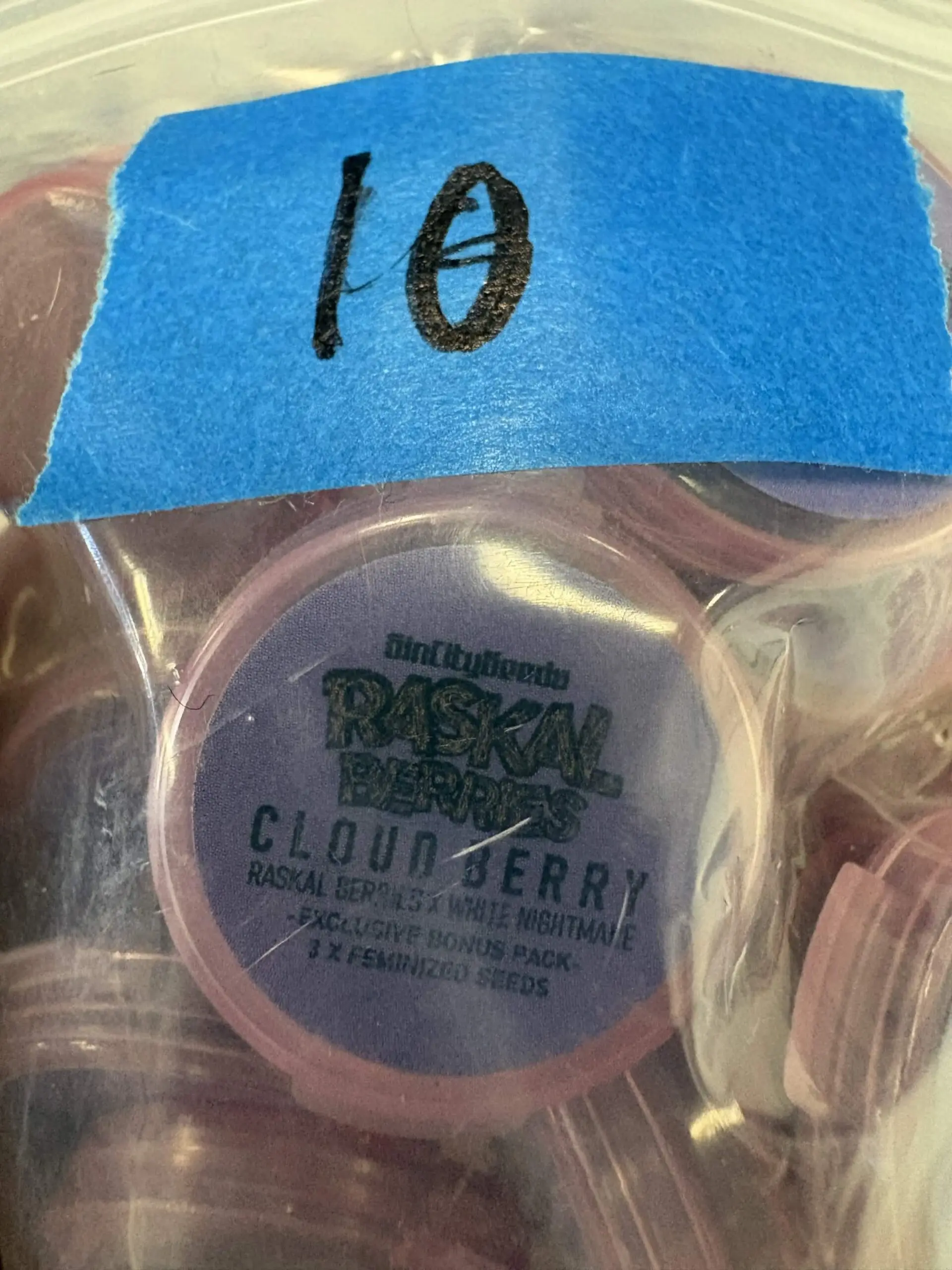 3x Rascal Berries | Photo Fem | Sin City Seeds | Breeder Bonus