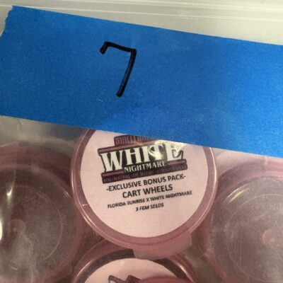 3x White Nightmare | Photo Fem | Sin City Seeds | Breeder Bonus