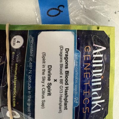 4x Dragons Blood Hashplant x Divine Spirit | Photo Reg | Annunaki Genetics | Breeder Bonus