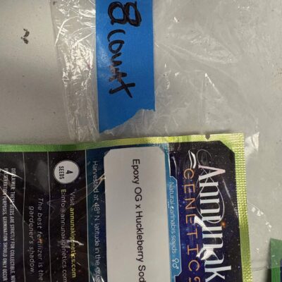 4x Epoxy OG x Huckleberry Soda | Photo Reg | Annunaki Genetics | Breeder Bonus