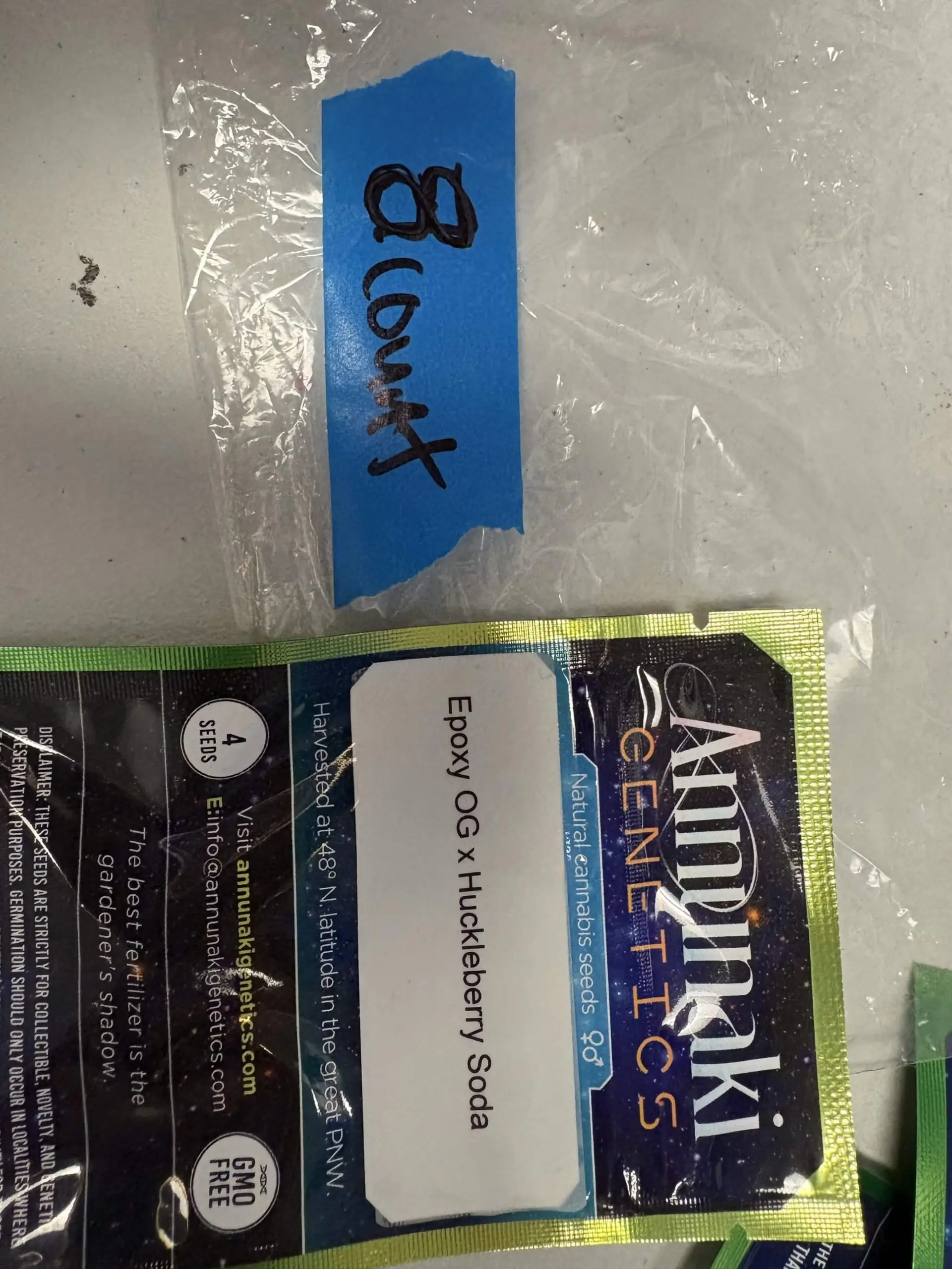 4x Epoxy OG x Huckleberry Soda | Photo Reg | Annunaki Genetics | Breeder Bonus