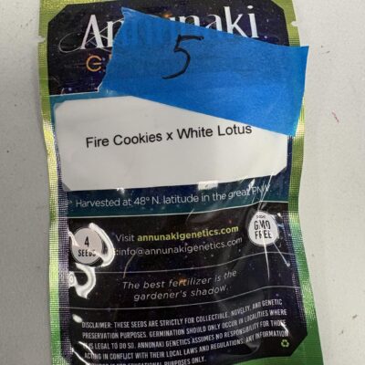 4x Fire Cookies x White Lotus | Photo Fem | Annunaki Genetics | Breeder Bonus