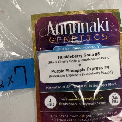 4x Huckleberry Soda #5 x Purple Pineapple Express #4 | Photo Fem | Annunaki Genetics | Breeder Bonus