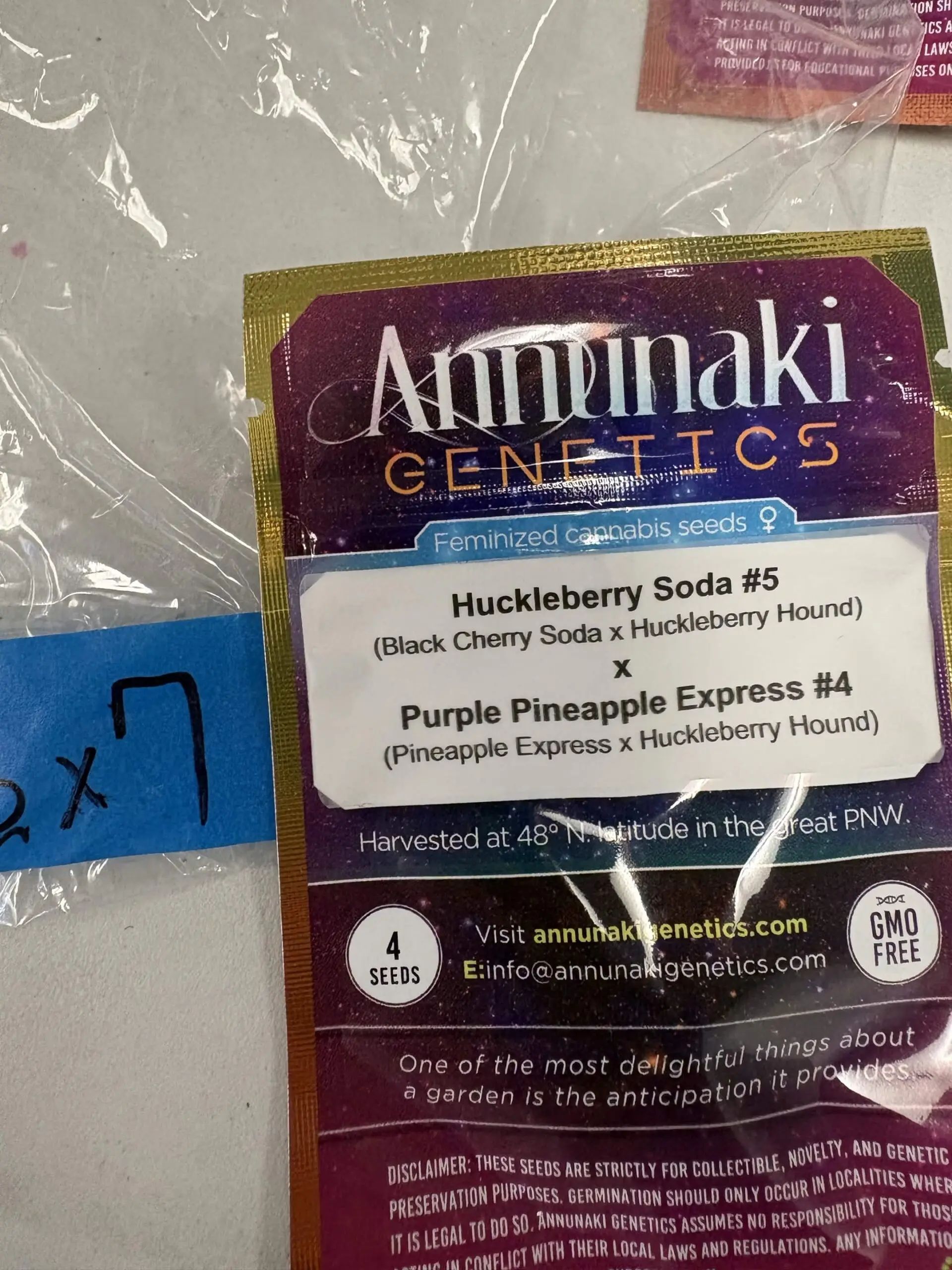 4x Huckleberry Soda #5 x Purple Pineapple Express #4 | Photo Fem | Annunaki Genetics | Breeder Bonus