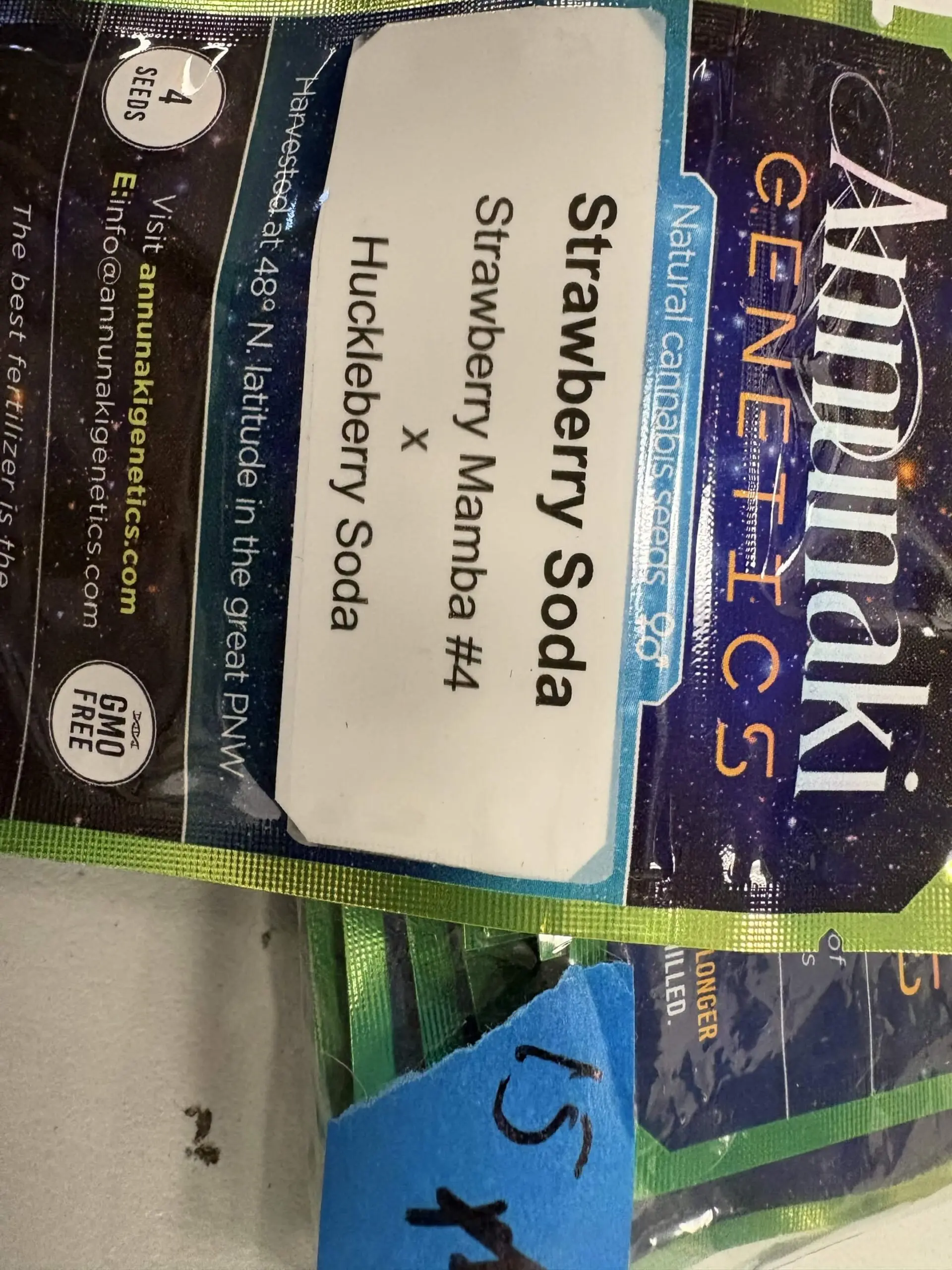 4x Strawberry Soda | Photo Reg | Annunaki Genetics | Breeder Bonus