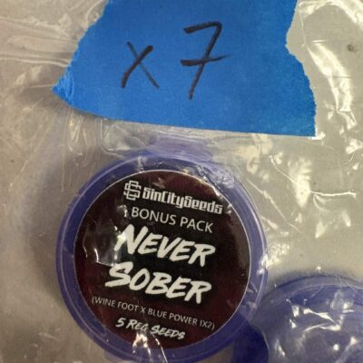 5x Never Sober | Phot Reg | Sin City Seeds | Breeder Bonus