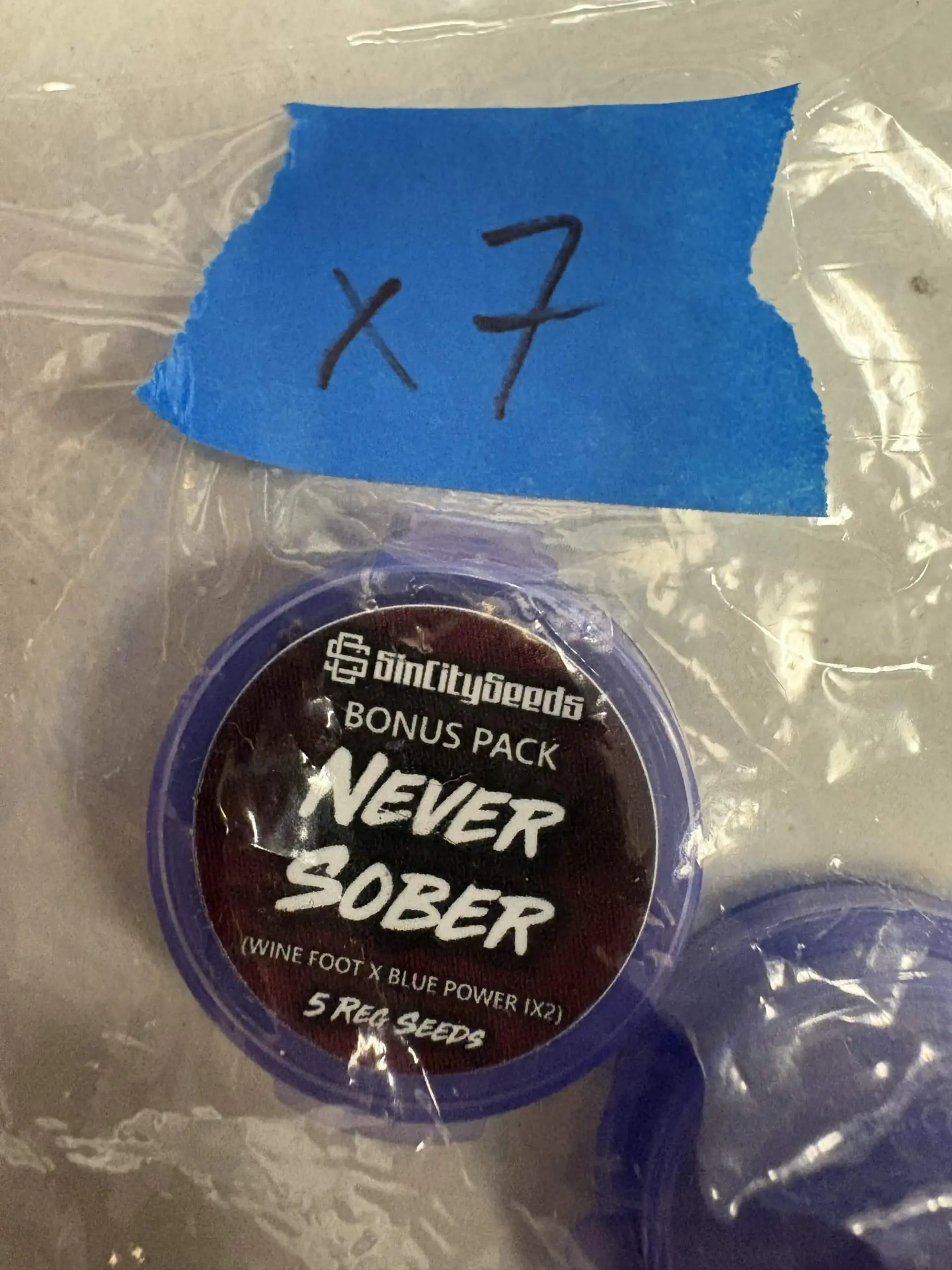 5x Never Sober | Phot Reg | Sin City Seeds | Breeder Bonus