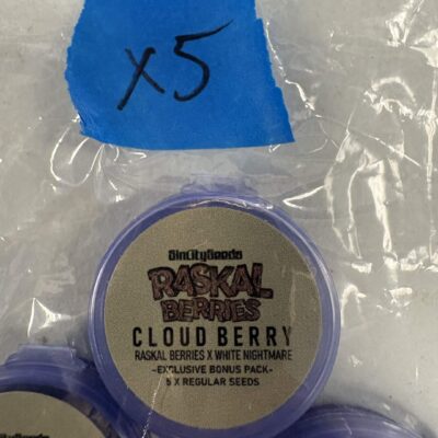5x Raskal Berry | Photo Reg | Sin City Seeds | Breeder Bonus (Copy)