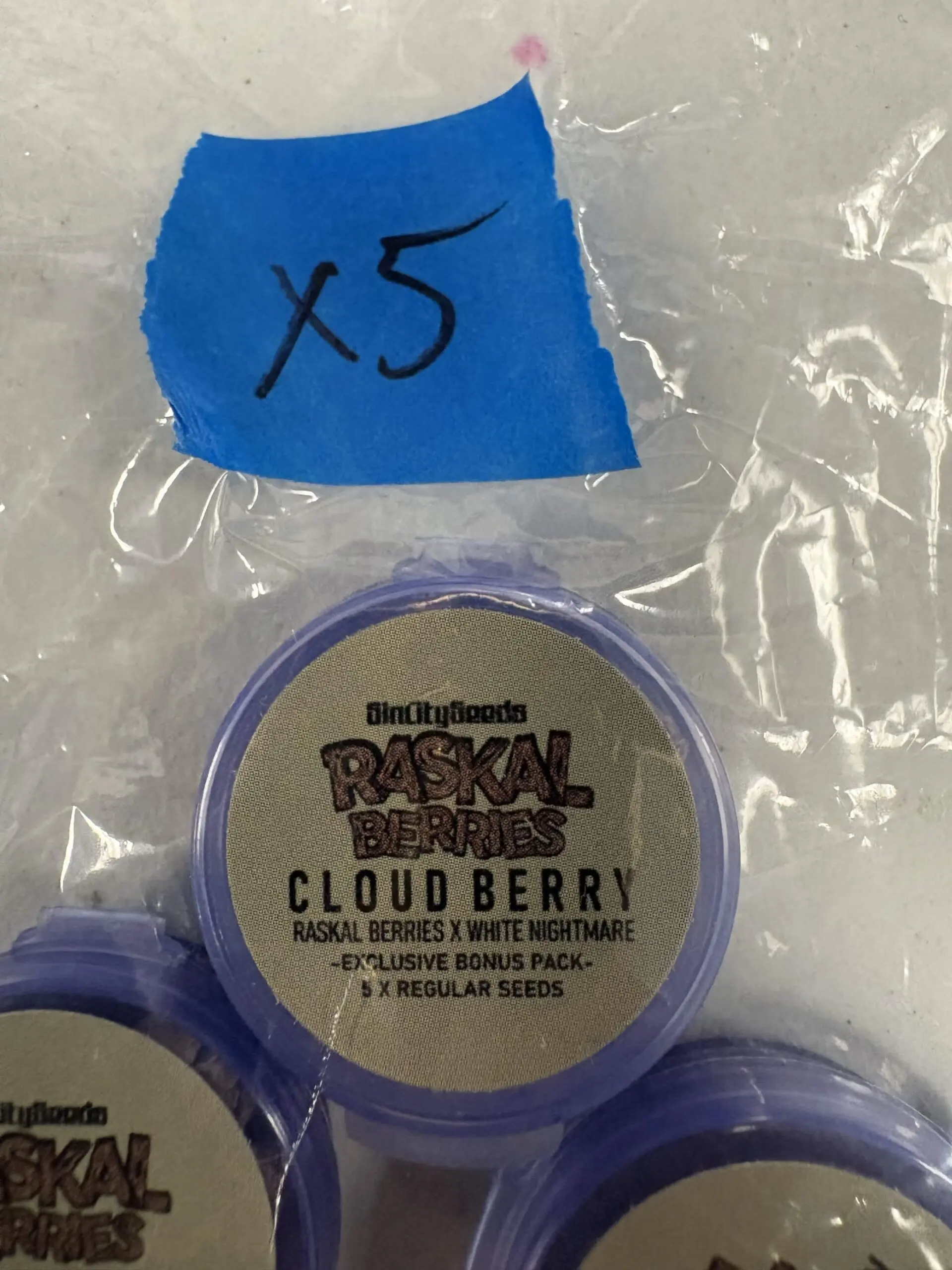 5x Raskal Berry | Photo Reg | Sin City Seeds | Breeder Bonus (Copy)