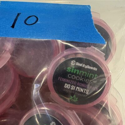 Do Si Mints | Photo Fem | Sin City Seeds | Breeder Bonus