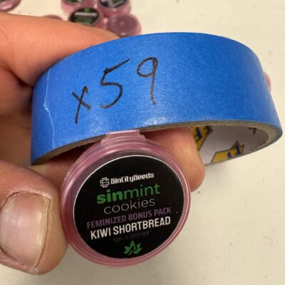 Kiwi Shortbread | Photo Fem | Sin City Seeds | Breeder Bonus