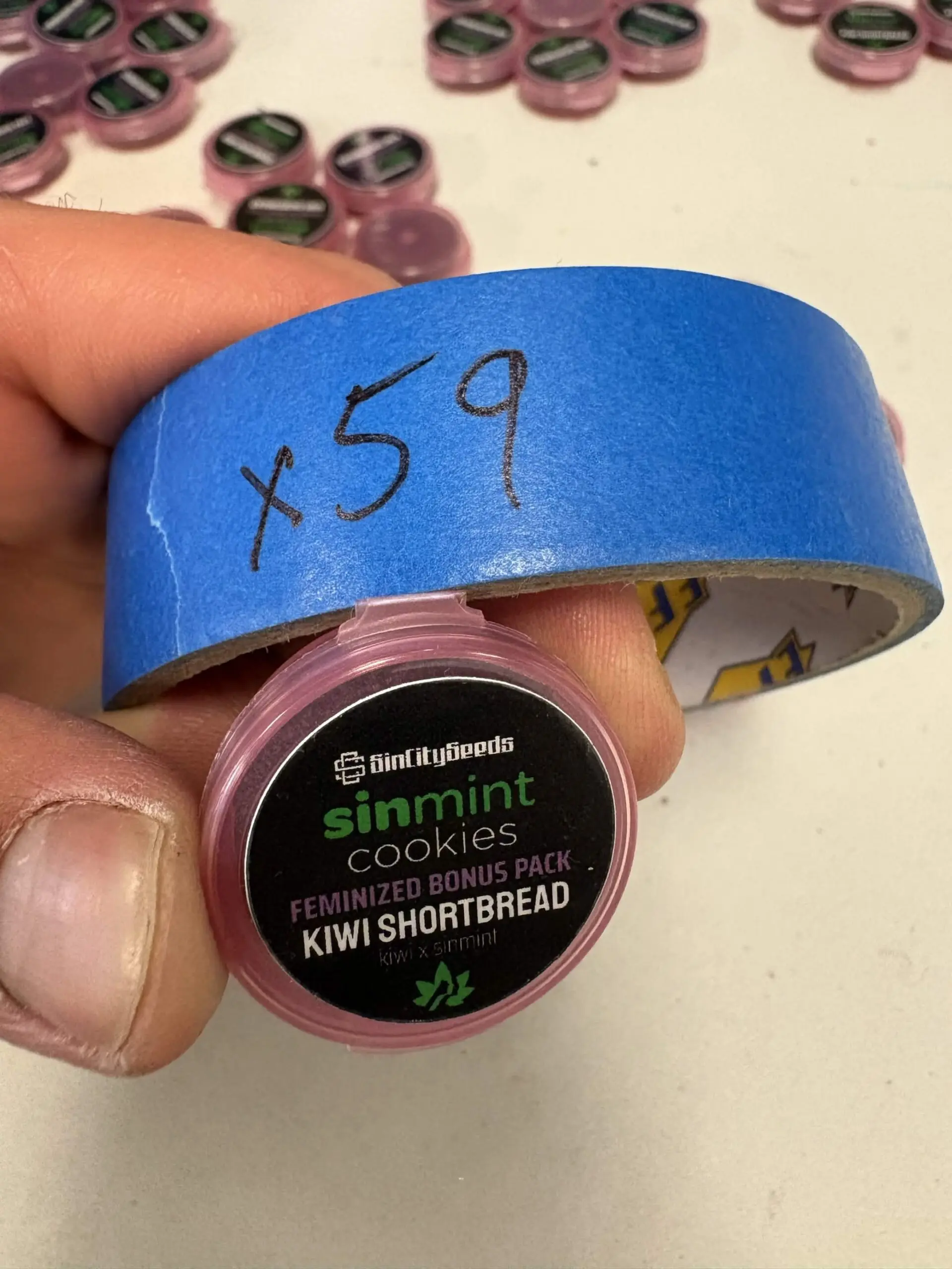 Kiwi Shortbread | Photo Fem | Sin City Seeds | Breeder Bonus