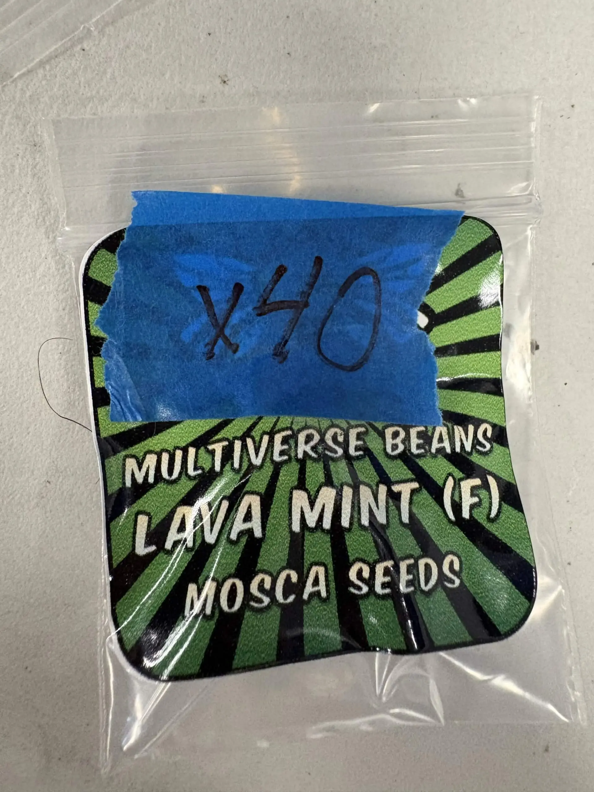 Lava Mint | Photo Fem | Mosca Seeds | Breeder Bonus