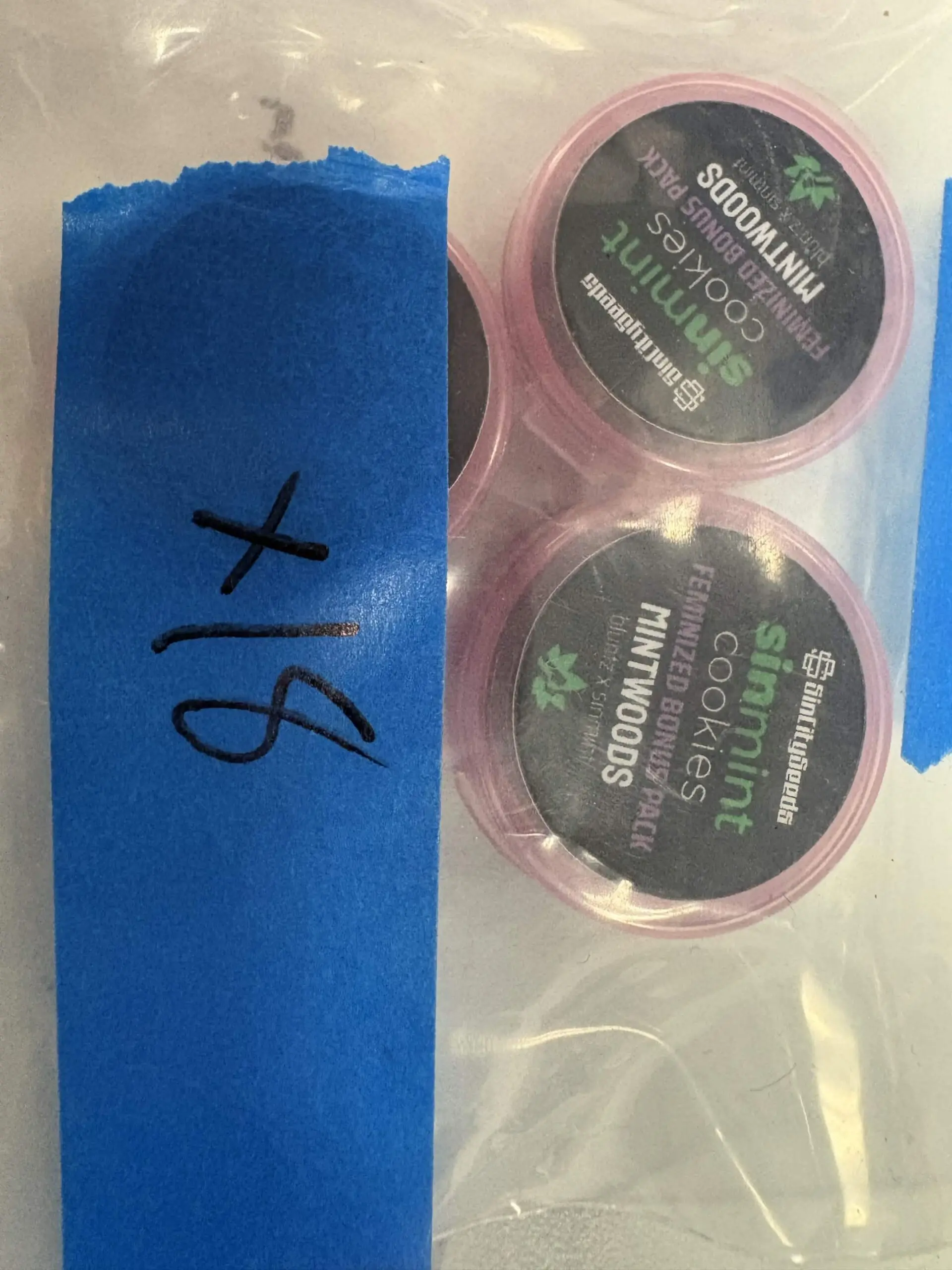 Mint Woods | Photo Fem | Sin City Seeds | Breeder Bonus