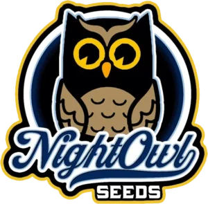 Night Owl