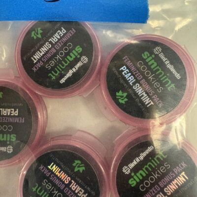 Pearl Sinmint | Photo Fem | Sin City Seeds | Breeder Bonus