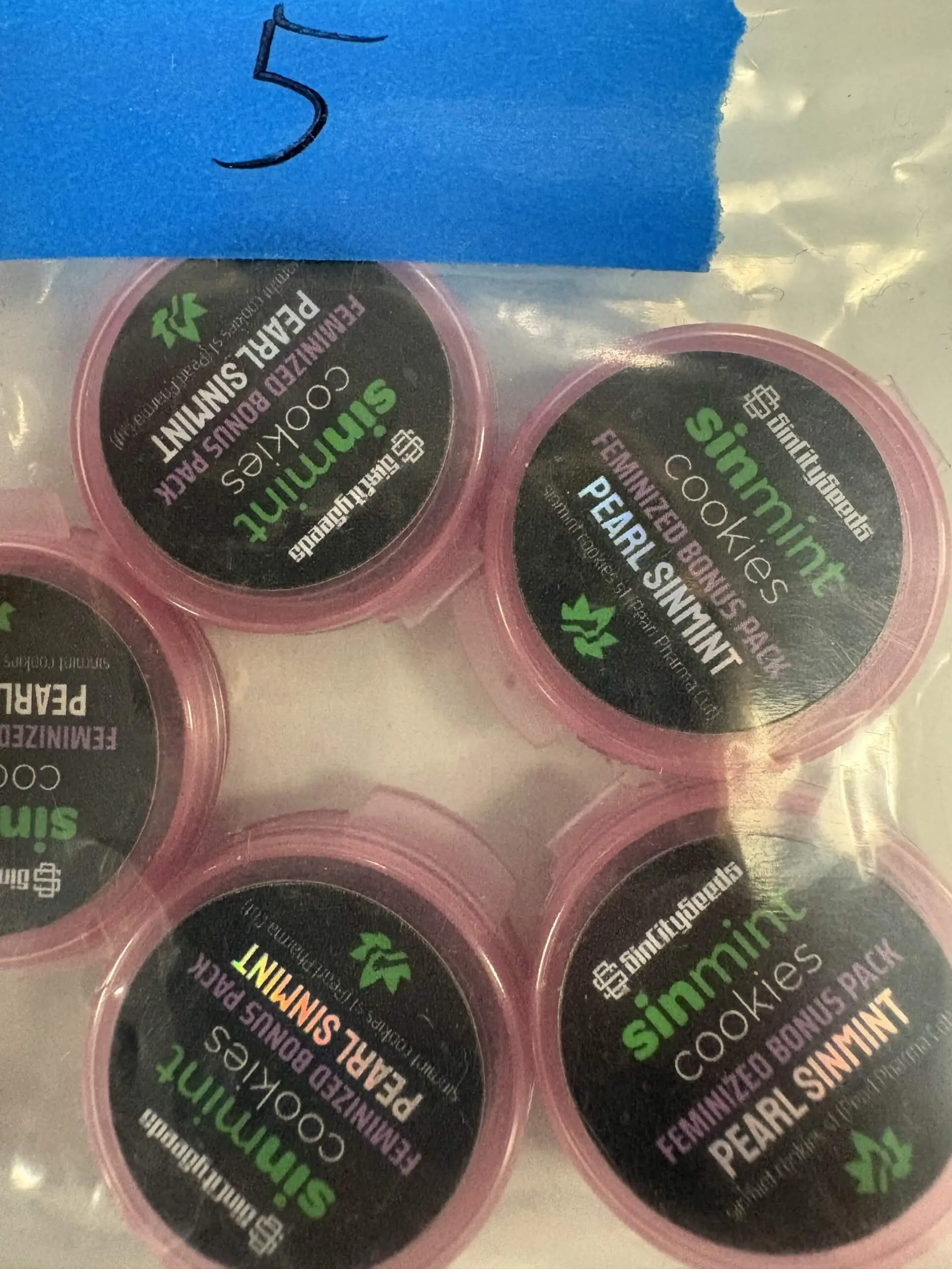 Pearl Sinmint | Photo Fem | Sin City Seeds | Breeder Bonus