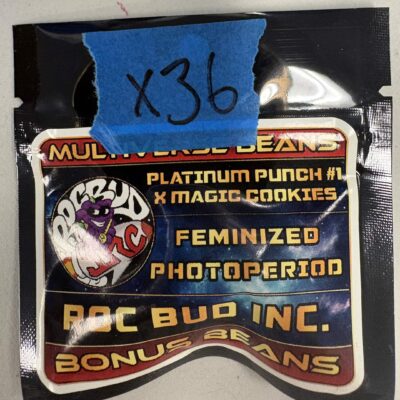 Platinum Punch #1 x Magic Cookies | Photo Fem | ROC Bud Inc. | Breeder Bonus