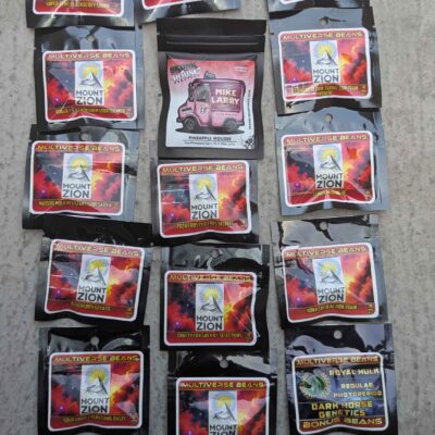 Buy 1 Get 14 Free - Skunk House & Friends (156 Seeds) | $1.28 Per Seed