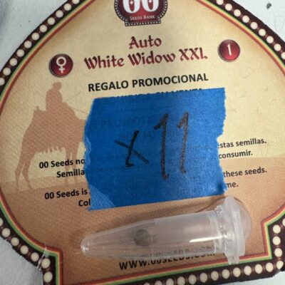 White Widow XXL | Auto Fem | 00 Seeds Bank | Breeder Bonus