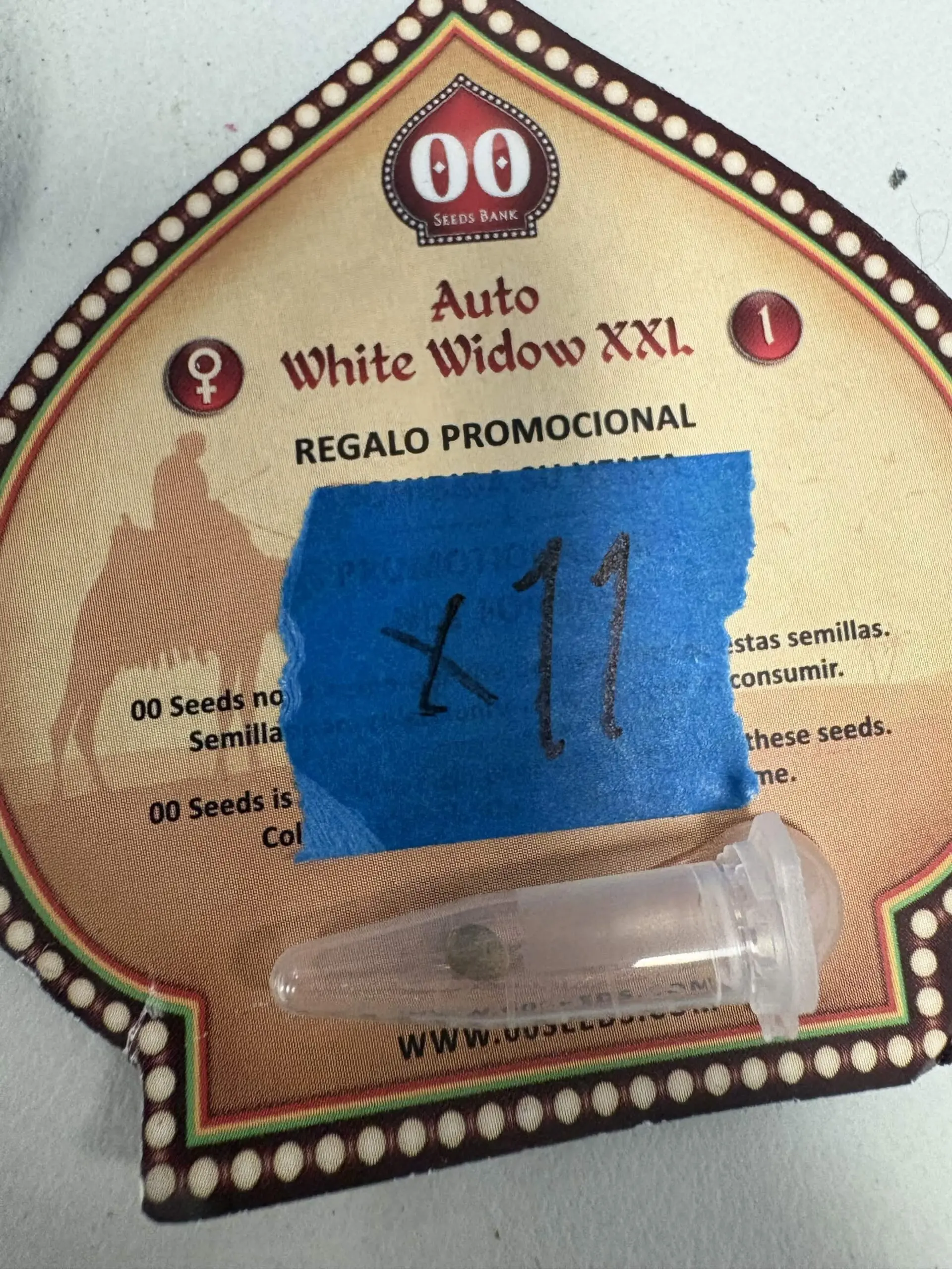 White Widow XXL | Auto Fem | 00 Seeds Bank | Breeder Bonus