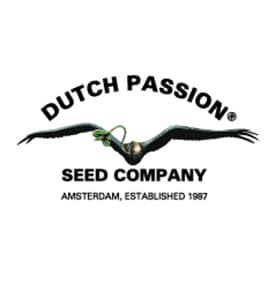 Dutch Passion