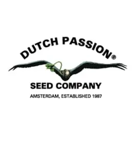 Dutch Passion