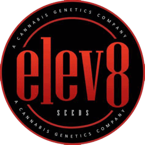 Elev8 Seeds