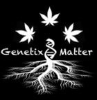 Genetix Matter