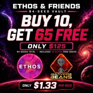 Ethos B10G93 Free 1