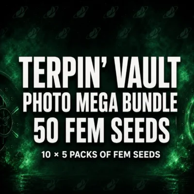 Terpin Vault Photo 50-Seed Bundle