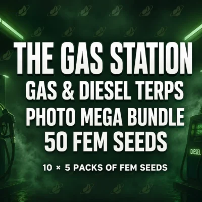 The Gas Station Photo 50-Seed Bundle | Breeder: West Coast Reserves