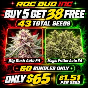 Rocbud 800px Q70