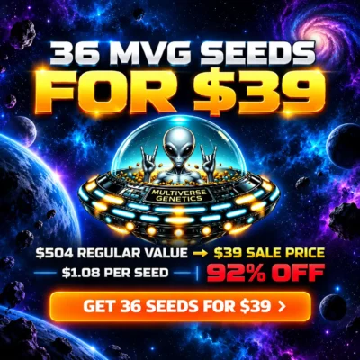 MVG 36-Seed Value Bundle | 36 Feminized Seeds for $39 ($504 Value)