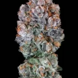Blueberry Mcmuffin Auto