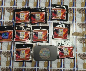 PXL 20261002 172821621.MP 1