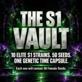S1 Photo 50-Seed Bundle