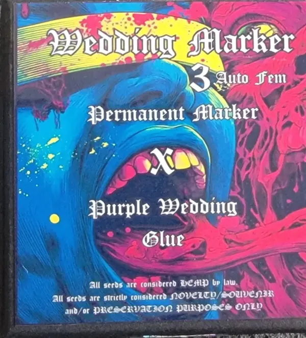Wedding Marker Auto | Aeque Genetics | FEM Autoflower Seeds